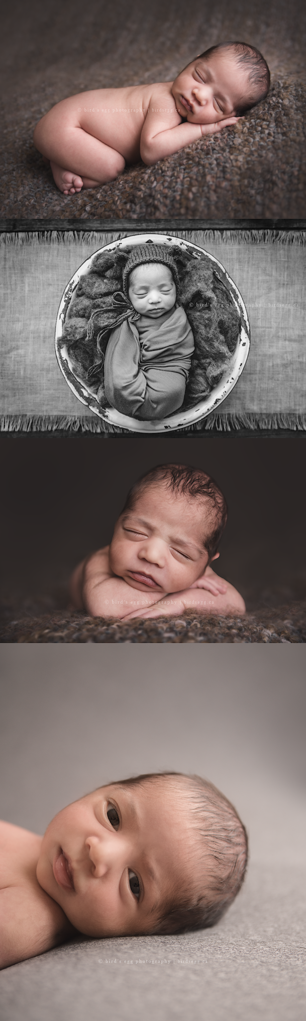 Newborn Baby Mohamad | Bird's Egg Photography