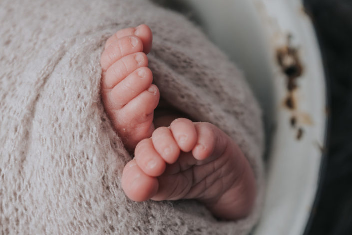 Bird's Egg Photography - Baby Lincoln