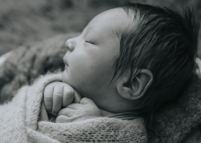 Bird's Egg Photography - Baby Lincoln