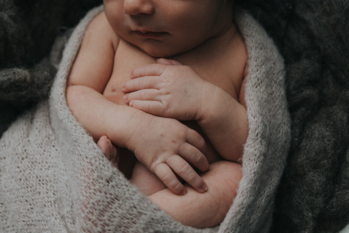 Bird's Egg Photography - Baby Lincoln