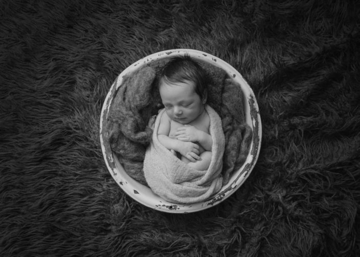 Bird's Egg Photography - Baby Lincoln