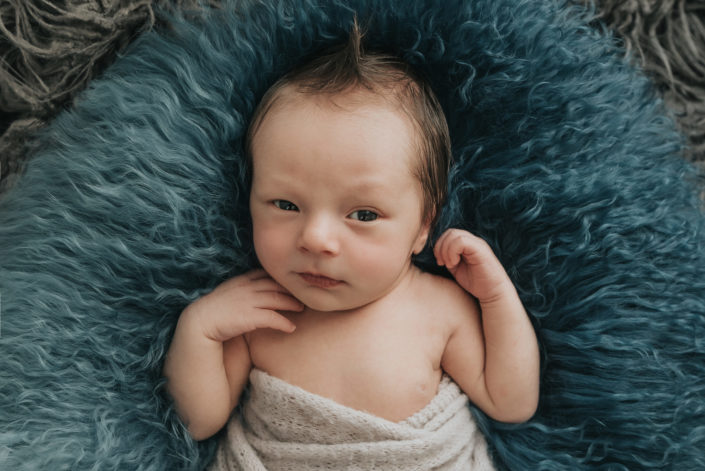 Bird's Egg Photography - Baby Lincoln