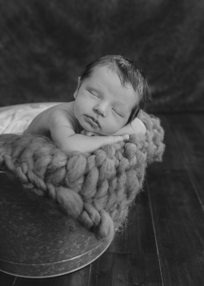 Bird's Egg Photography - Baby Lincoln